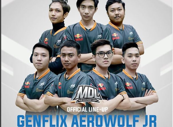 Hasil gambar untuk Aerowolf Jr mdl