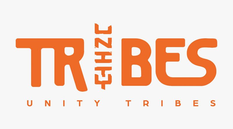 Unity Tribes Logo non transparent