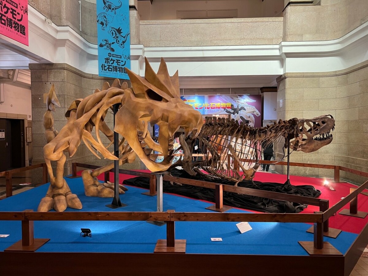 Tyrantrum musium pokemon