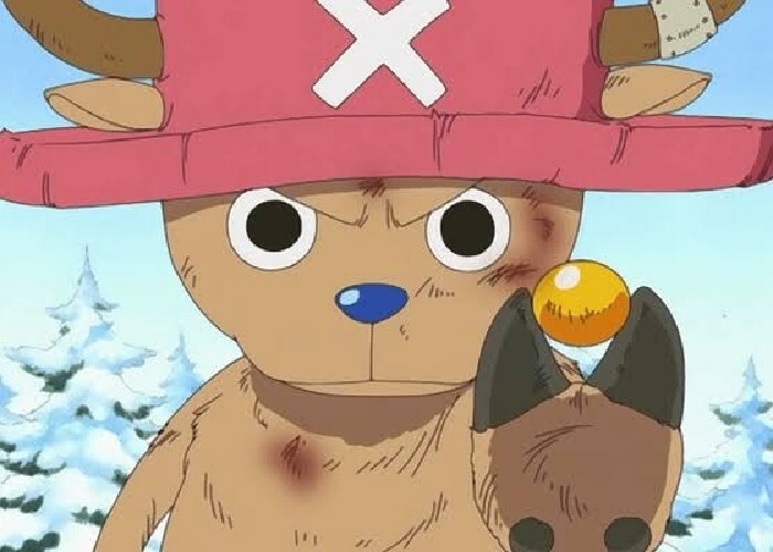 Momen Chopper Mendapatkan Buronannya Juga Lucu Loh di One Piece