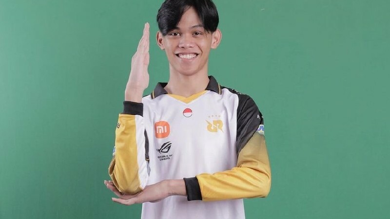 Lemon lebih fleksibel secara role