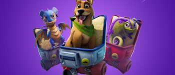 Fortnite Team Spirit Mission: How to pet a teammate's pet