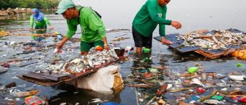 Manila Bay fish kill due to pollution: BFAR