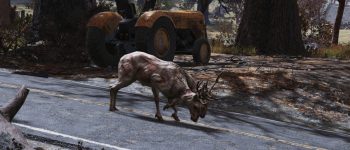 A Fallout 76 critter has been leading players to treasure