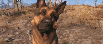 Fallout 76 might get pets