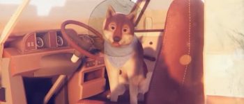 Forever Ago is a 'road trip adventure' about an old man and his dog