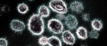 Public warned: Be wary of more infectious COVID-19 variant