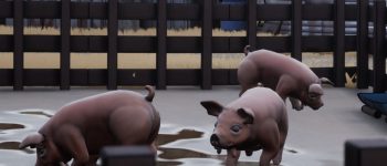 Be a pig farmer who gets rid of bodies for the mob in the first-person conversation game Adios